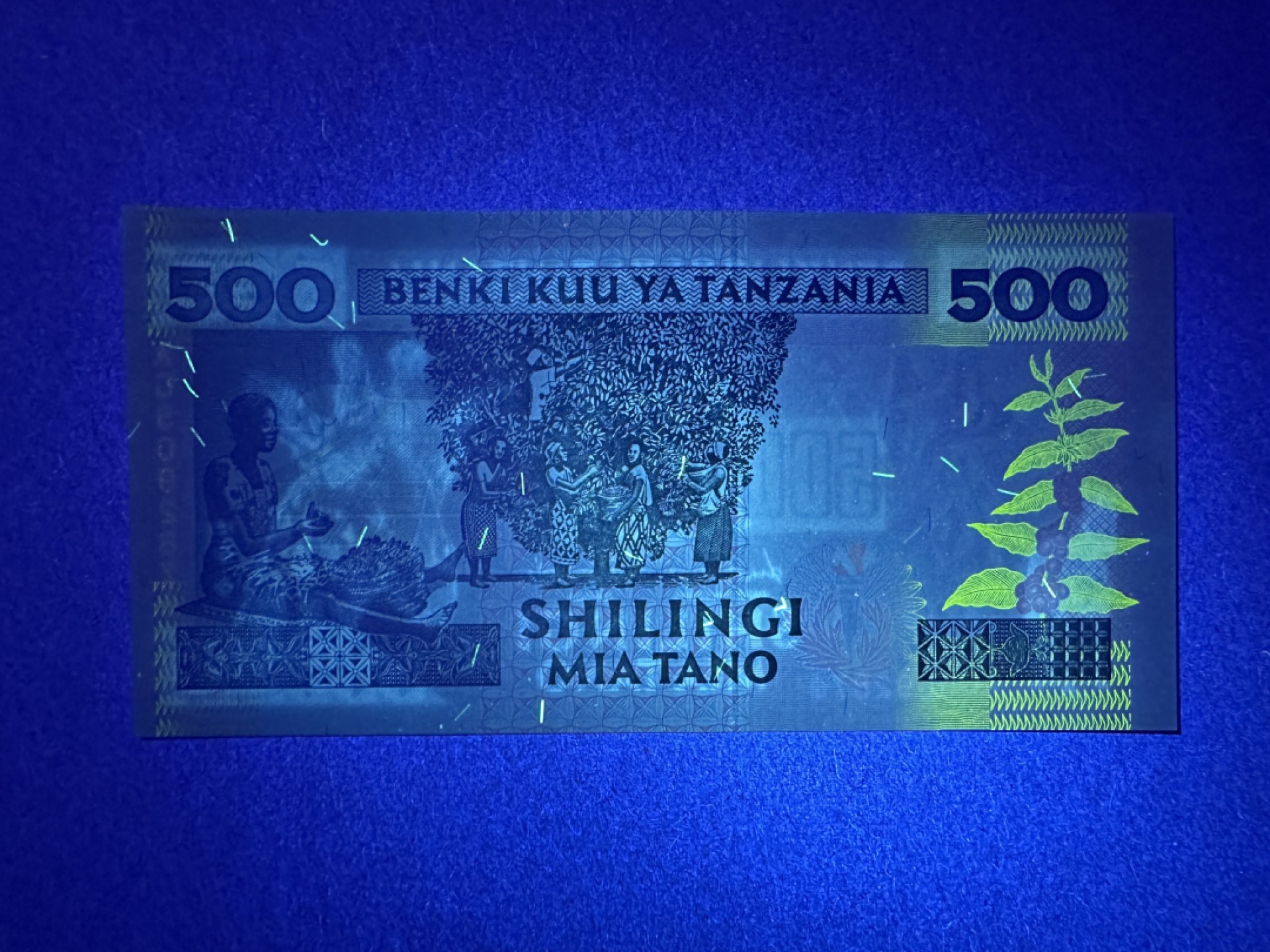 《张总朋友收藏》103期—外币高货 苏格兰硬货&女王精品 坦桑尼亚500先令 UNC 1997年 经典长颈鹿