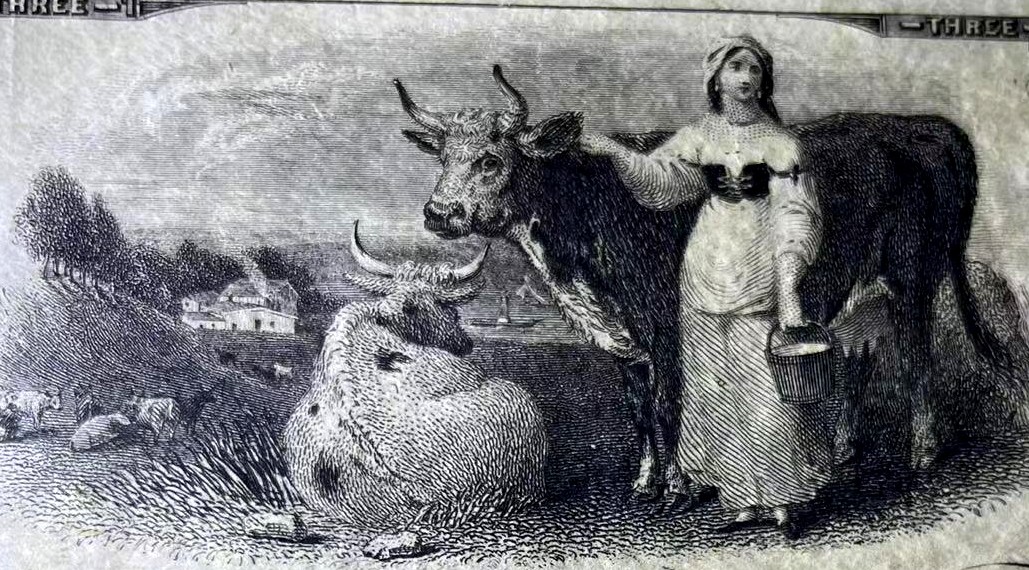 【Blue Auction】✨世界纸币精拍第327期——莫总专场XXI 美国早期 新伦敦联合银行 1792年3美金 UNC- 田园风 设计非常精美 