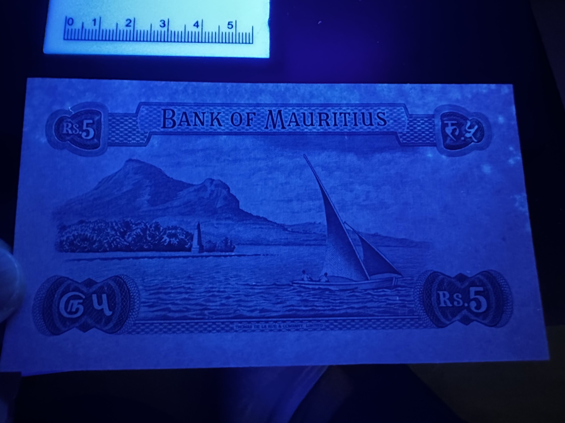 《外钞收藏家》第二百七十一期（连拍第二场） 毛里求斯5卢比  无折 有潮