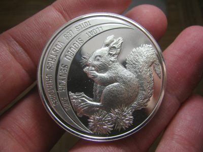 王之爱好~外国钱币 - 松鼠大银币31.3克