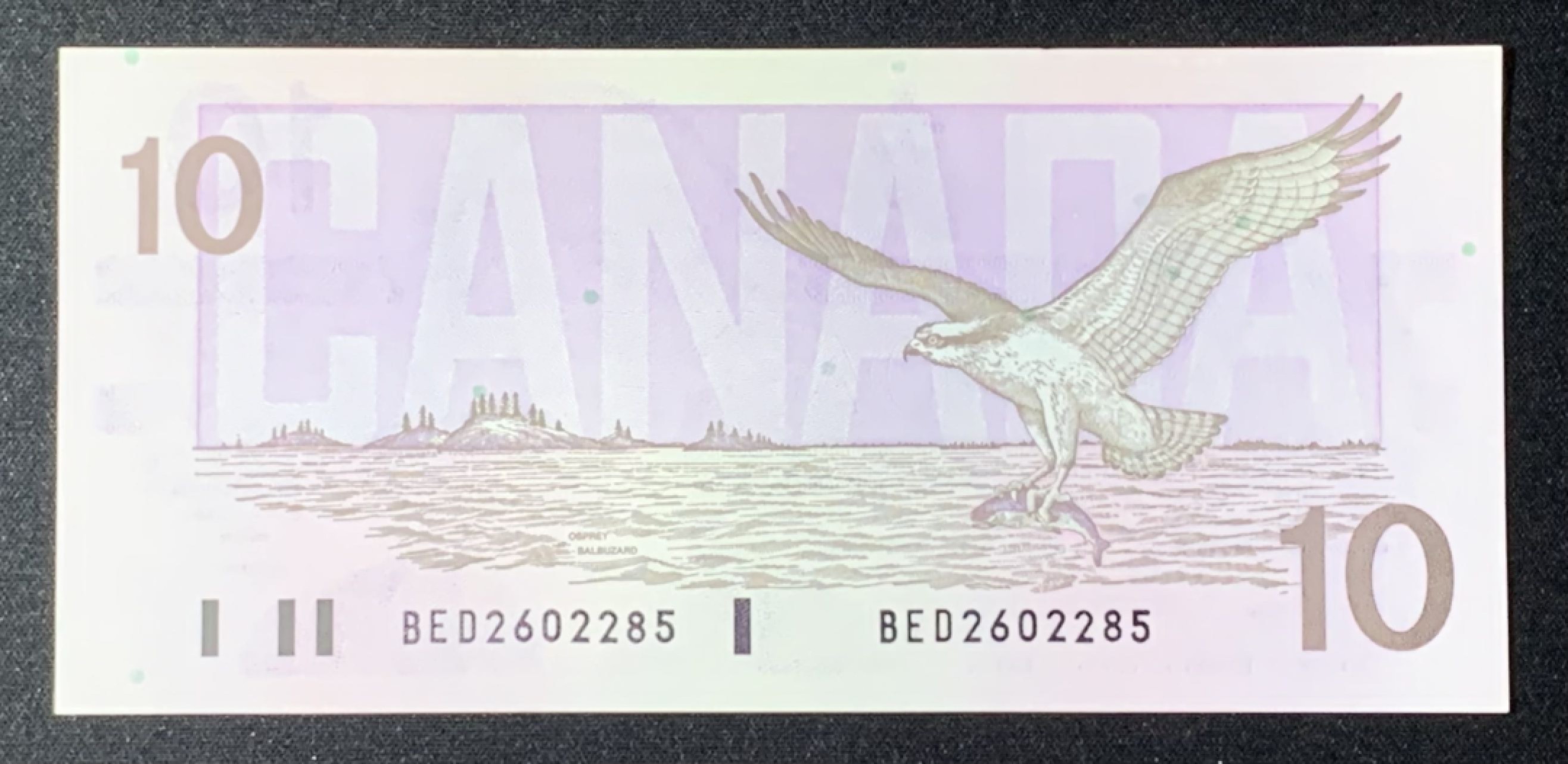 紫瑗钱币——第272期拍卖—纸币场 加拿大 1989年 约翰麦克唐纳爵士 10元 UNC