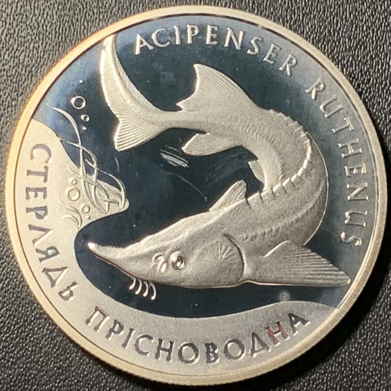 紫瑗钱币——第273期拍卖