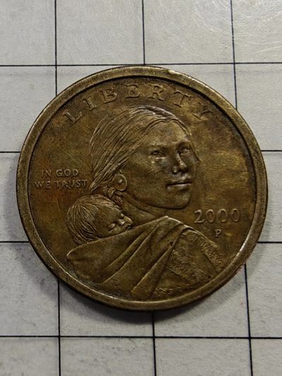 轻松集币无压力 - 美国萨卡加维1美元