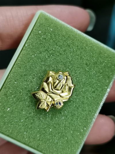 城南花开🌸26场 - 狮子会玫瑰镀金徽章