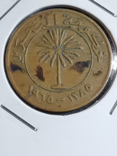 沼泽如烟--第4场 - 巴林1965年10费尔