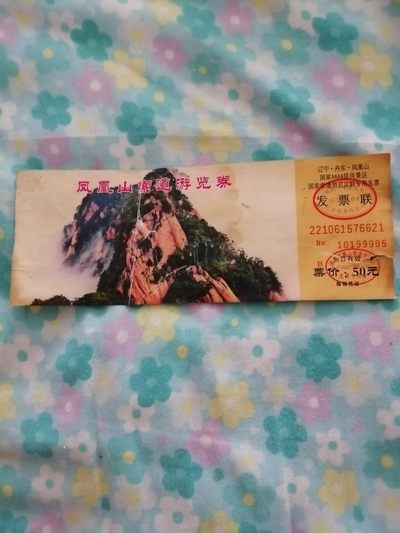 凤凰山索道游览券 - 凤凰山索道游览券