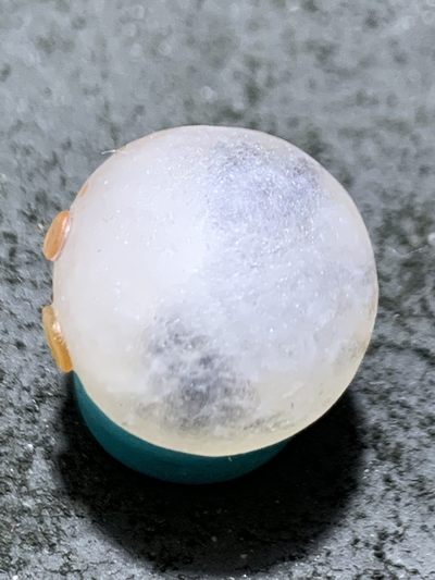 精美冰飘亚光战国红玛瑙手工俏色巧雕鱼钱币随形圆珠一个， 精美冰飘亚光战国红玛瑙手工俏色巧雕鱼钱币随形圆珠一个，