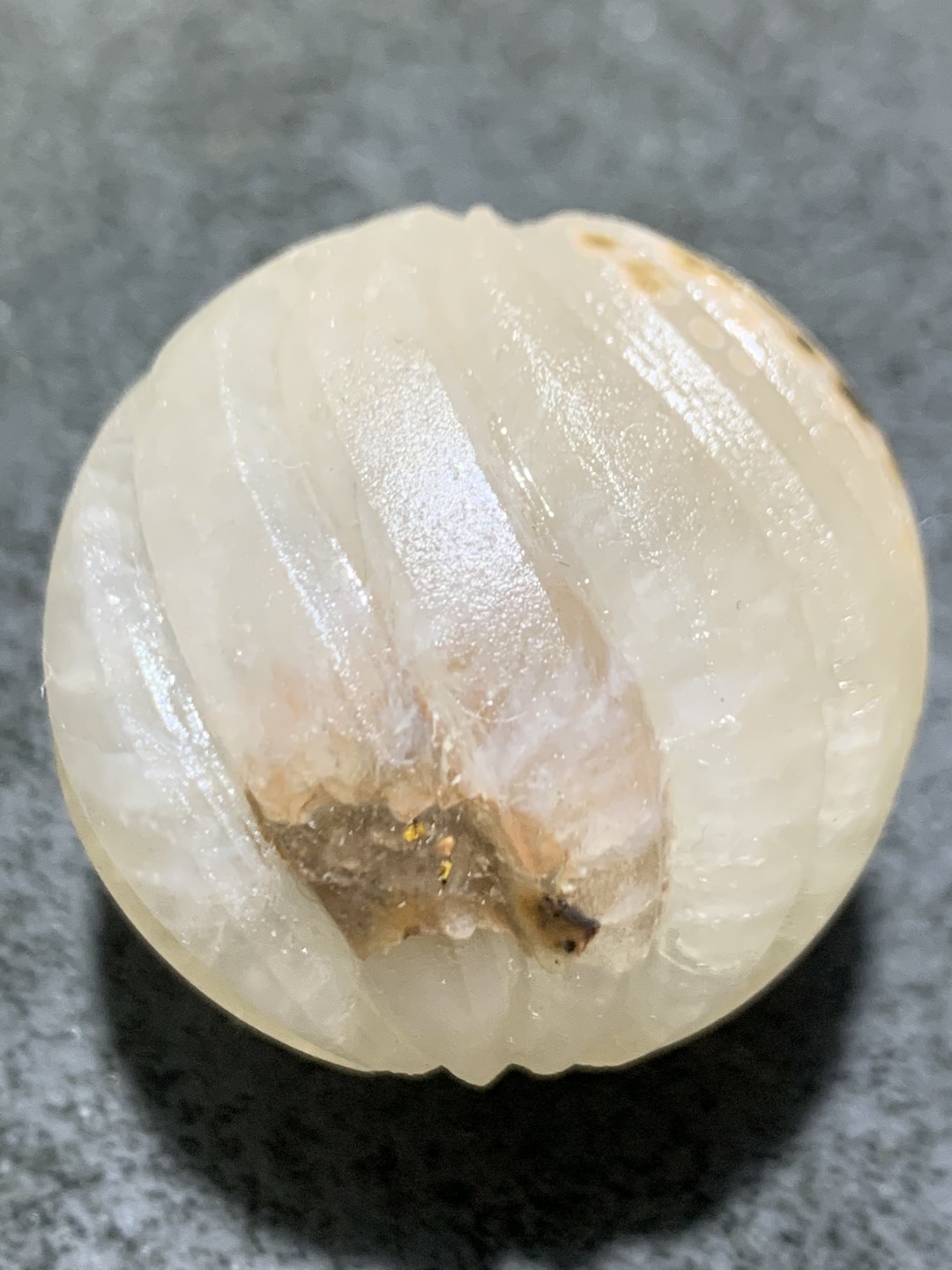 精美亚光满冰飘糖心料战国红玛瑙手工雕刻大瓜珠一颗！