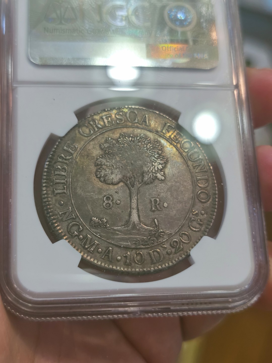 博洋堂章牌藏家系列场①暨第029期（全场包邮） NGC AU50 中美洲共和国太阳脸 1842 8里亚尔 五彩爆浆 最热门的美洲币 目前价格还是十几年前价格