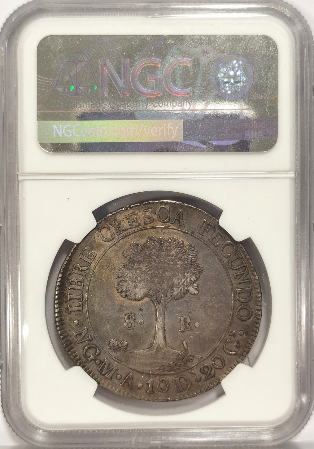 博洋堂章牌藏家系列场①暨第029期（全场包邮） NGC AU50 中美洲共和国太阳脸 1842 8里亚尔 五彩爆浆 最热门的美洲币 目前价格还是十几年前价格