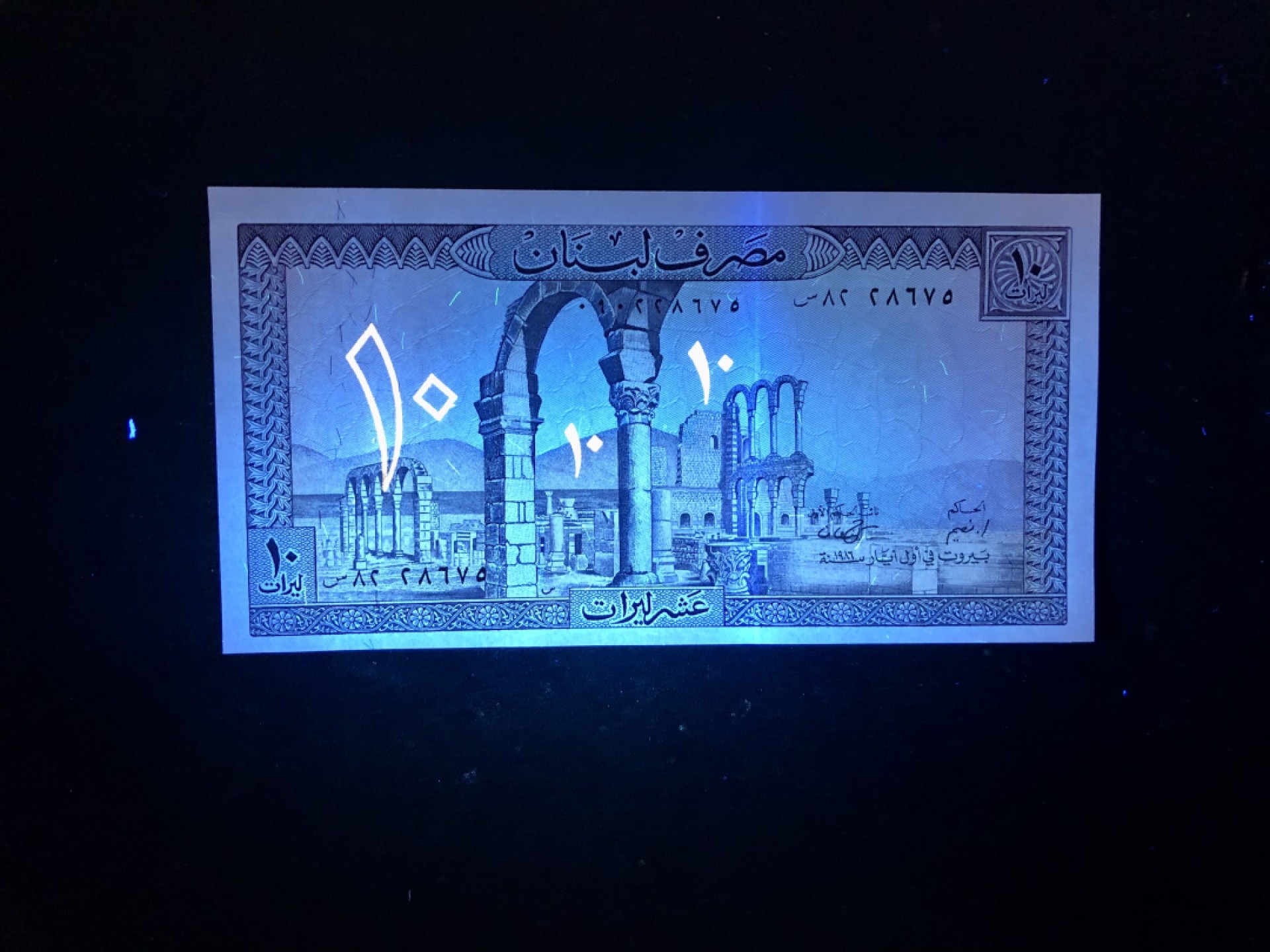 北极狼藏苑社捡漏专场.