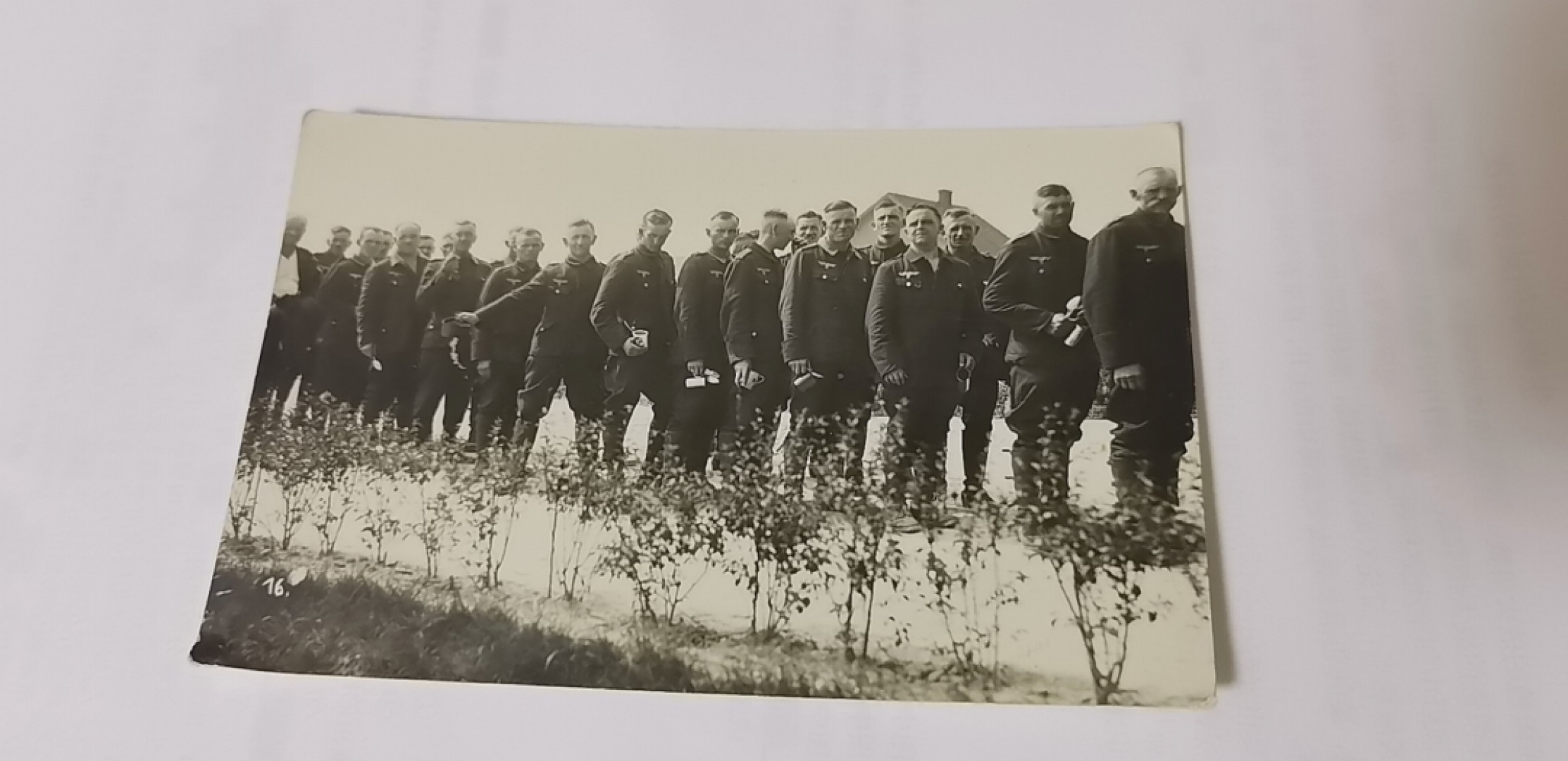 阿娜斯塔西娅军事题材拍卖 德国队伍排队集体照，十分清晰，题材很好