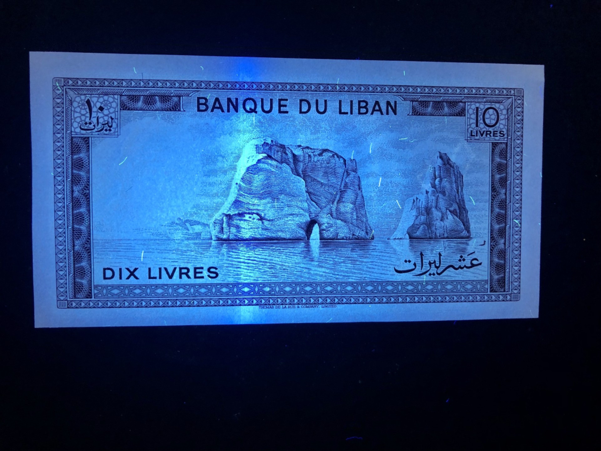 北极狼藏苑社捡漏专场.