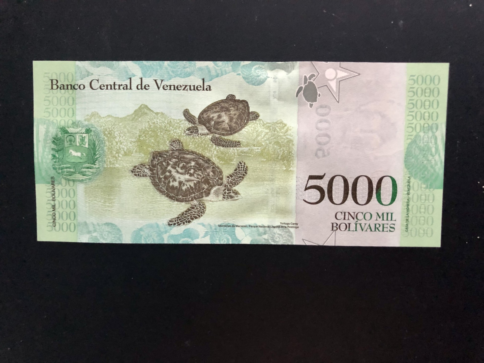 北极狼藏苑社（68）精品专场 94017-委内瑞拉2007年版 波利维尔彩虹币5000