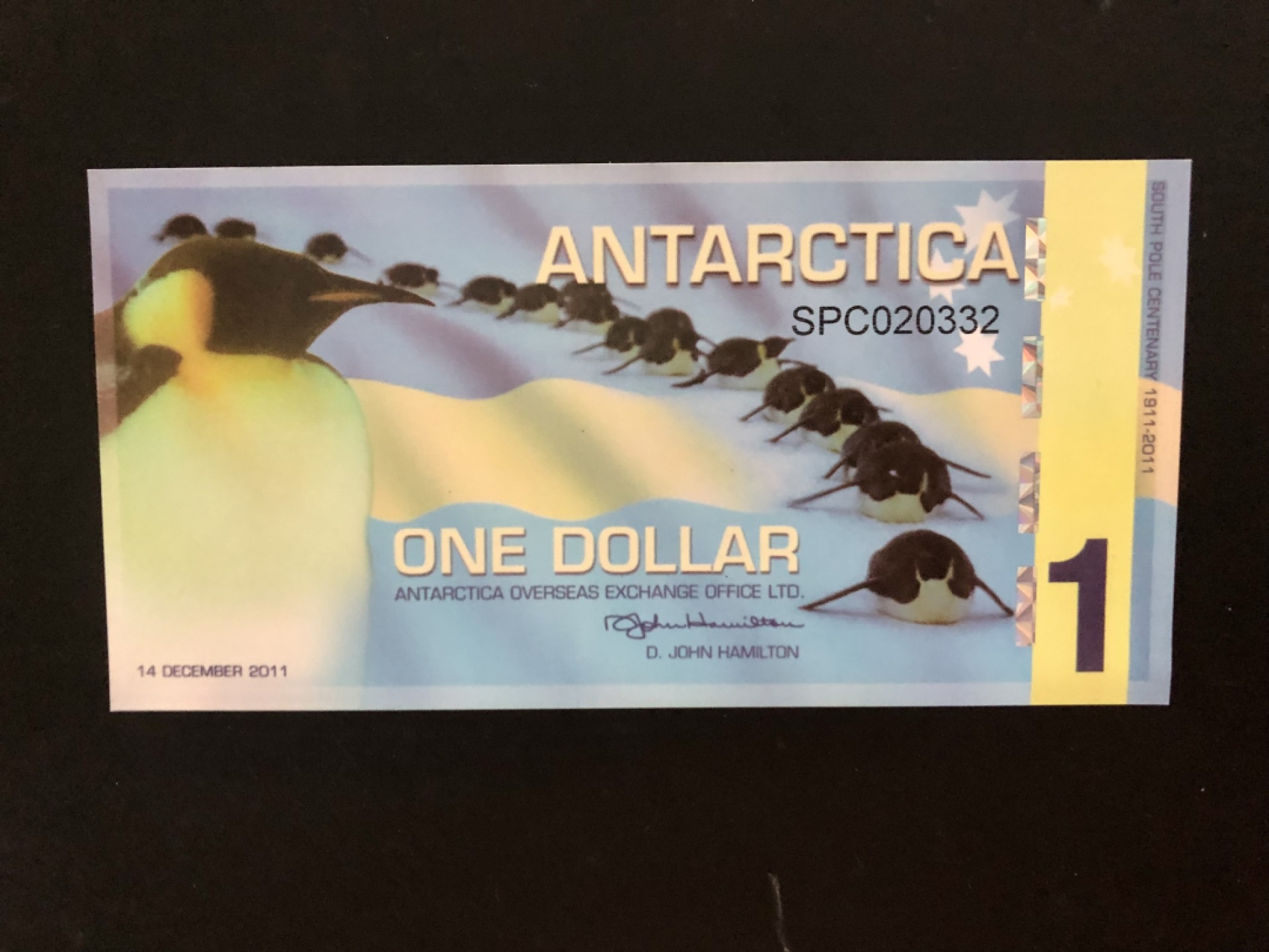 北极狼藏苑社捡漏专场.