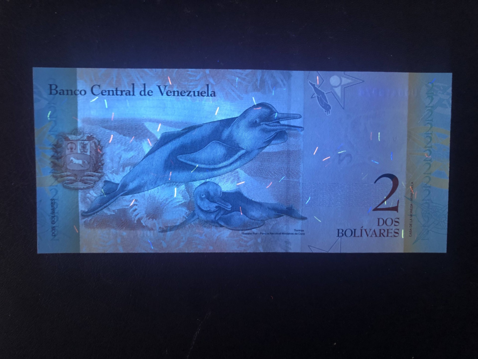 北极狼藏苑社捡漏专场. 94061-全新UNC 委内瑞拉2玻利瓦尔·彩虹币