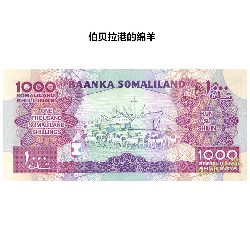 北极狼藏苑社捡漏专场. 94009-索马里兰1000先令纸币 2014(2016)年