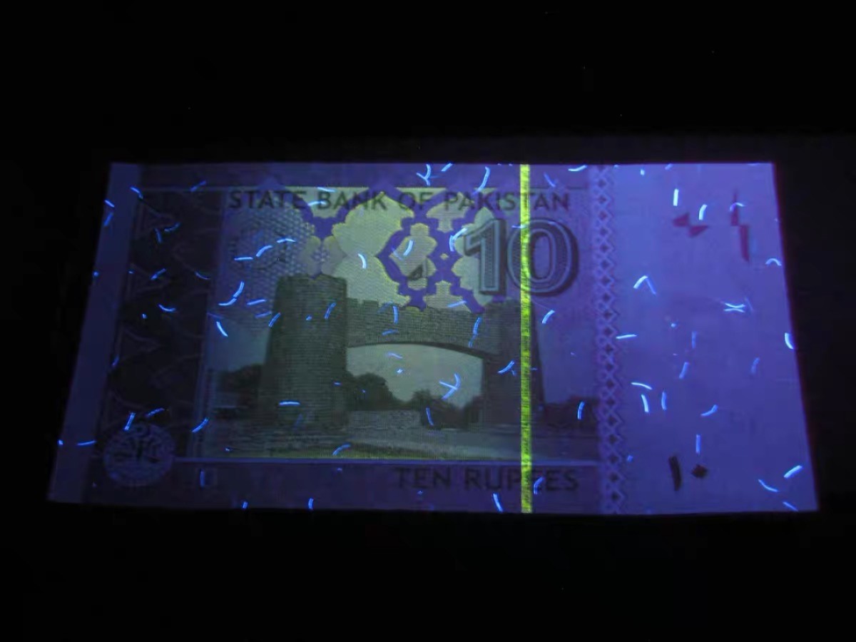 北极狼藏苑社捡漏专场. 94013-巴基斯坦10卢比2015年