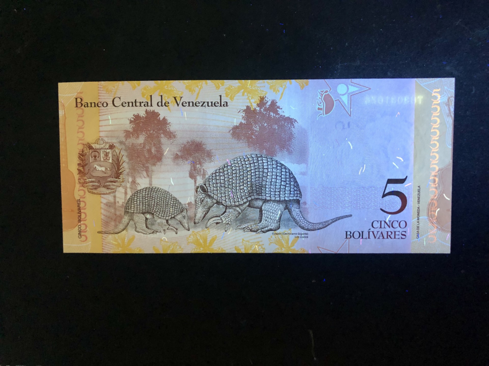 北极狼藏苑社（68）精品专场 94035-全新UNC 委内瑞拉5玻利瓦尔·彩虹币