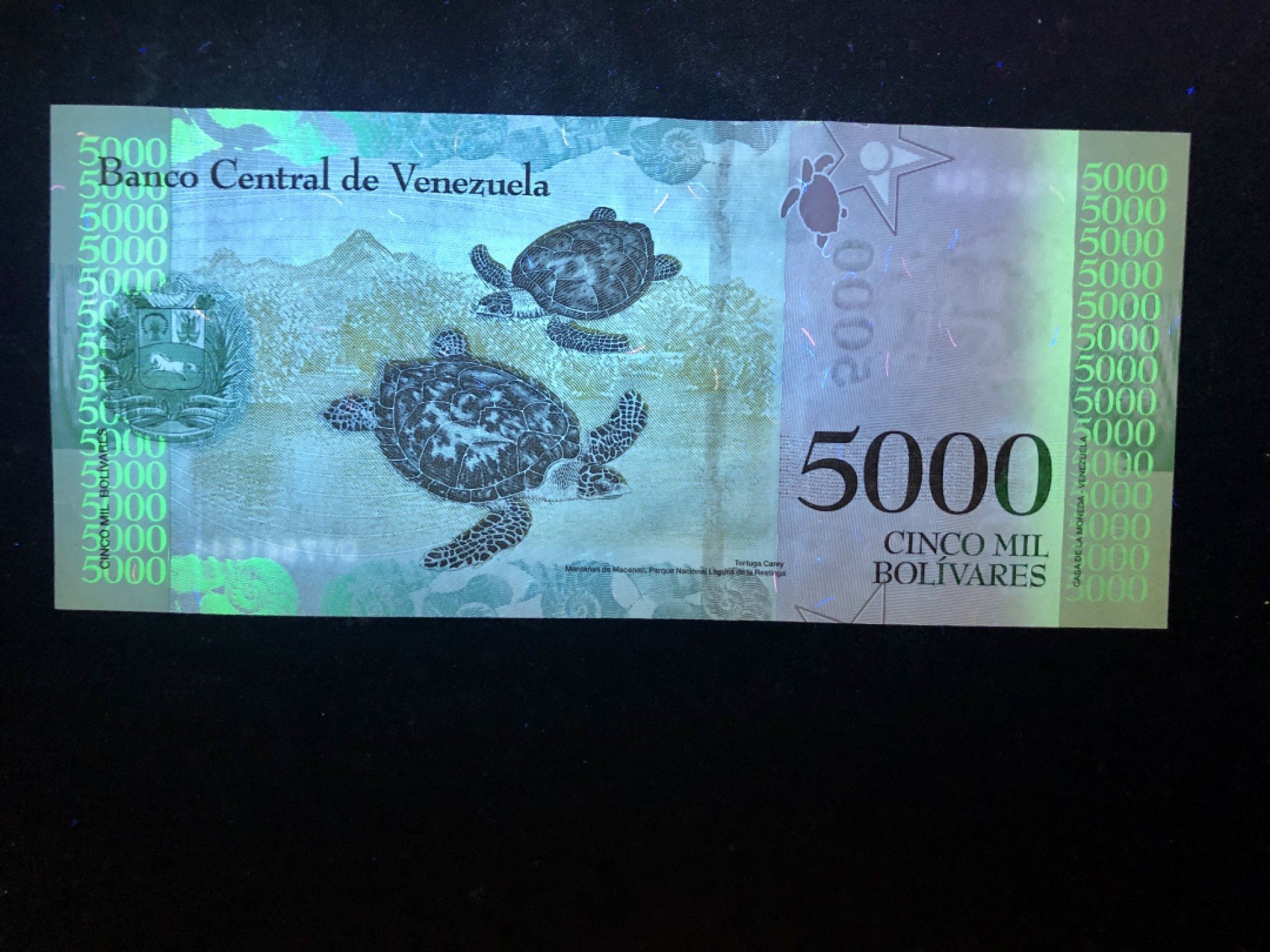 北极狼藏苑社（68）精品专场 94017-委内瑞拉2007年版 波利维尔彩虹币5000