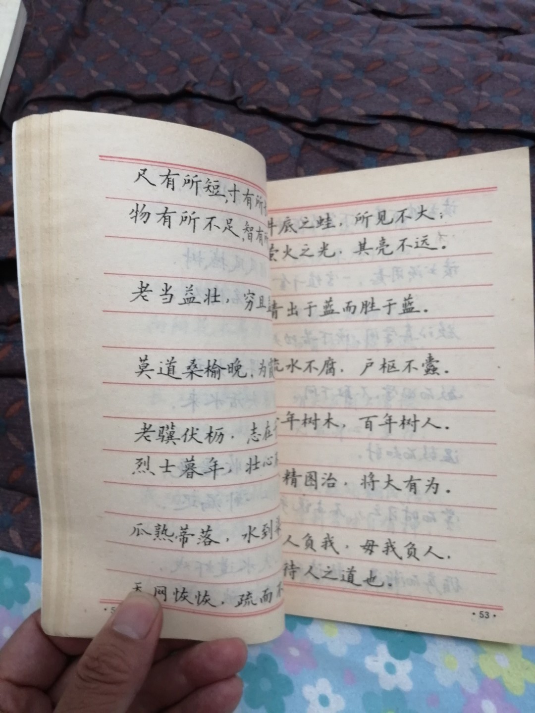《箴言警语钢笔字帖》