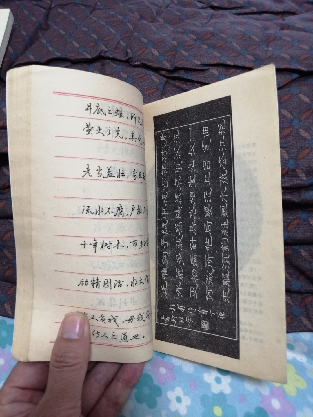 《箴言警语钢笔字帖》