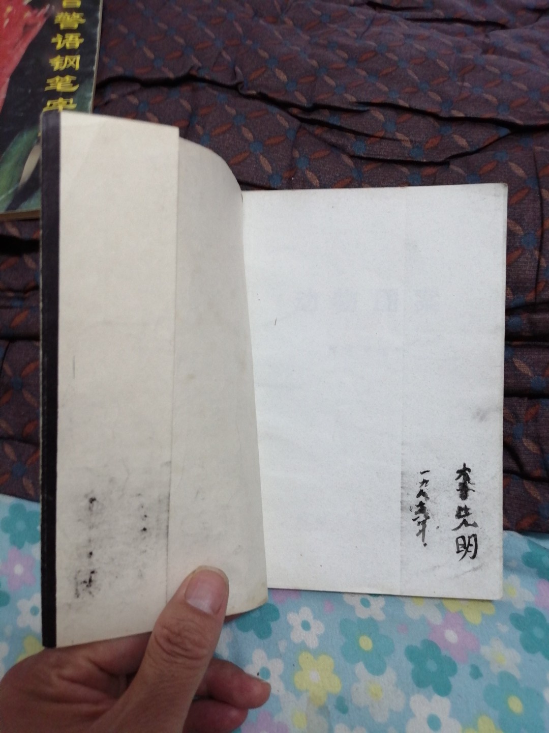 《动物图案》