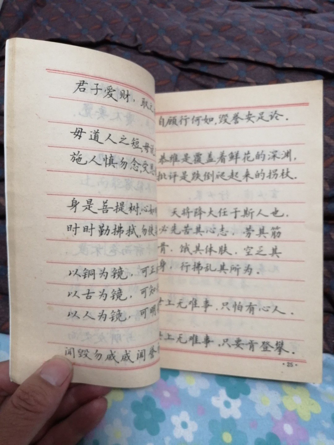 《箴言警语钢笔字帖》