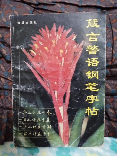 《箴言警语钢笔字帖》 - 《箴言警语钢笔字帖》