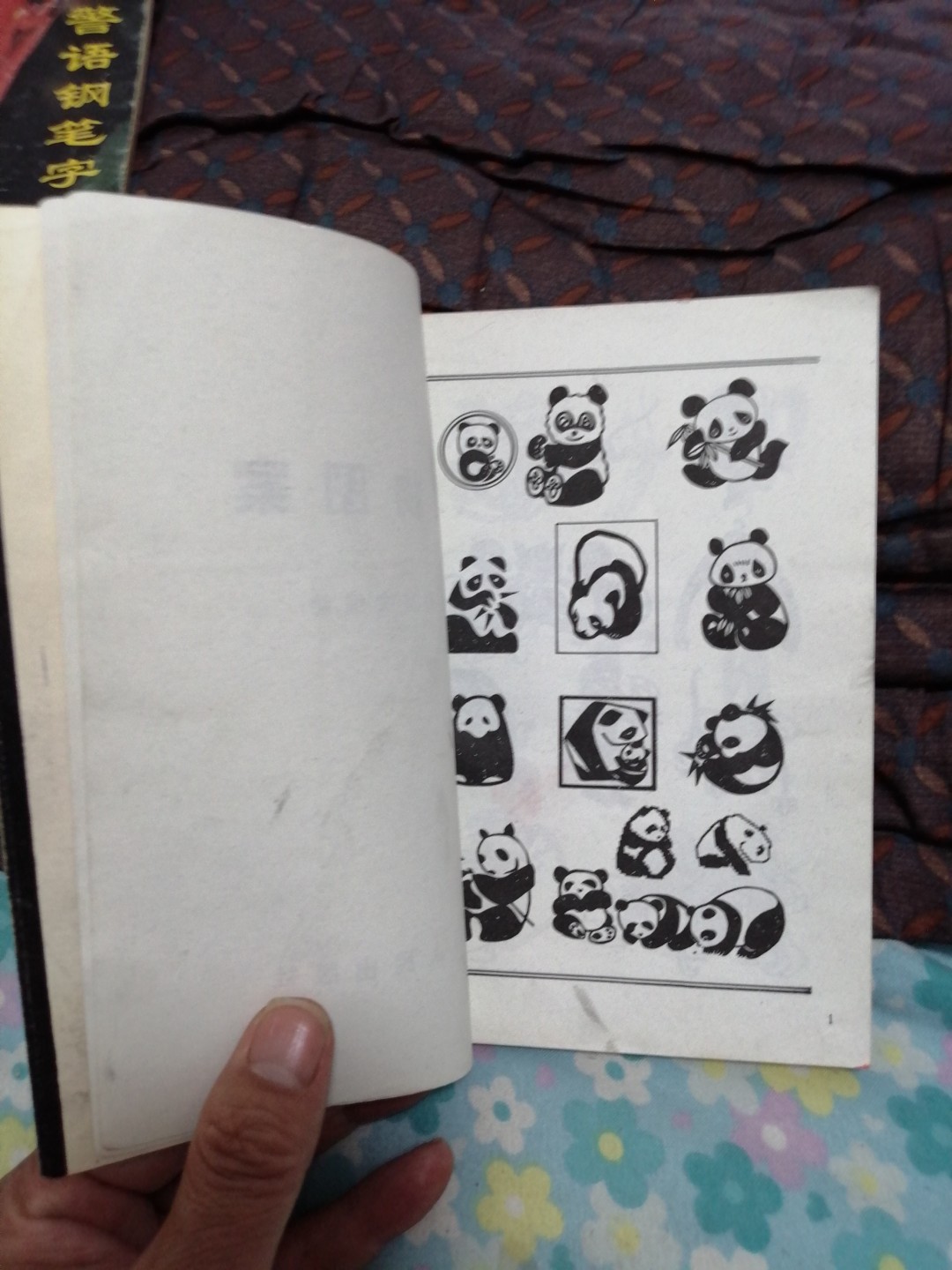 《动物图案》
