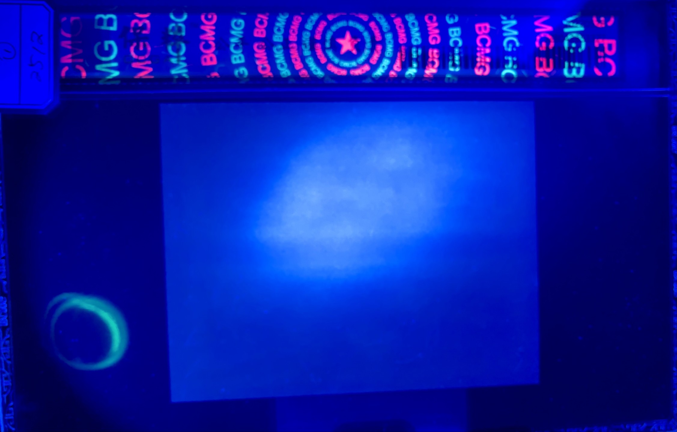 北极狼藏苑社（67）精品专场 2512-A①民国币; 试样票 2连体 ;单面  ;票面尺寸 134*96;保粹评级68EP 