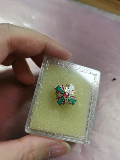 城南花开🌸27场 - 小徽章