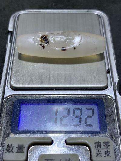 精美高玉化亚光海洋玉髓手工俏色巧雕无相佛意境大桶珠一个！ 精美高玉化亚光海洋玉髓手工俏色巧雕无相佛意境大桶珠一个！