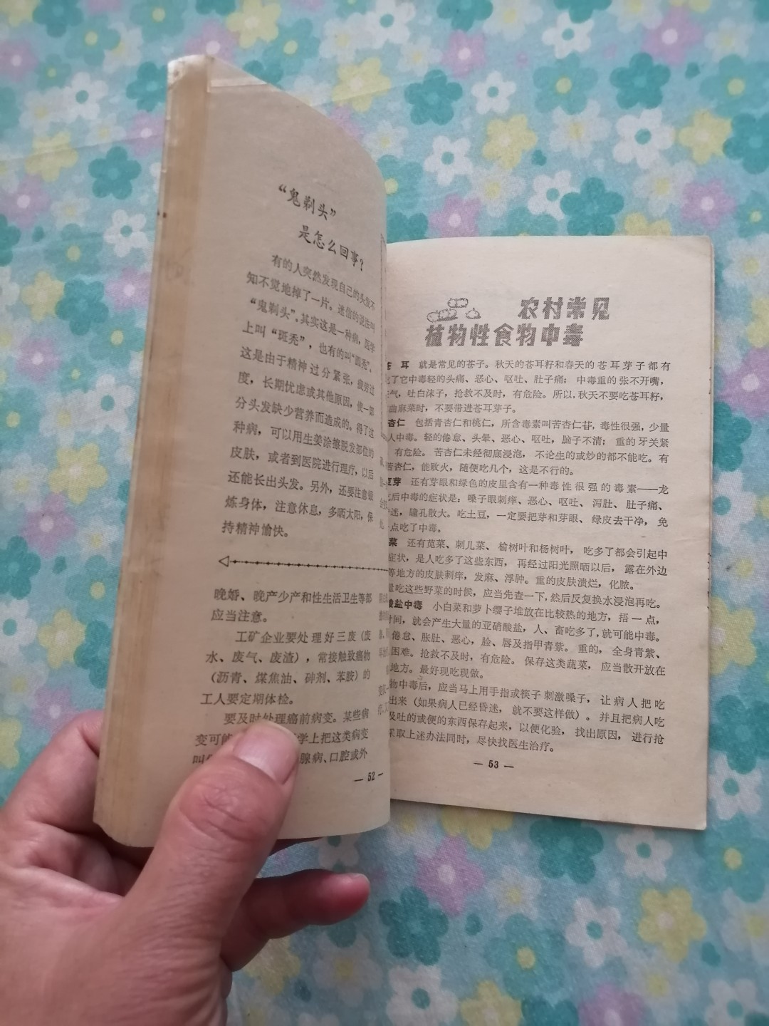 1979年农历