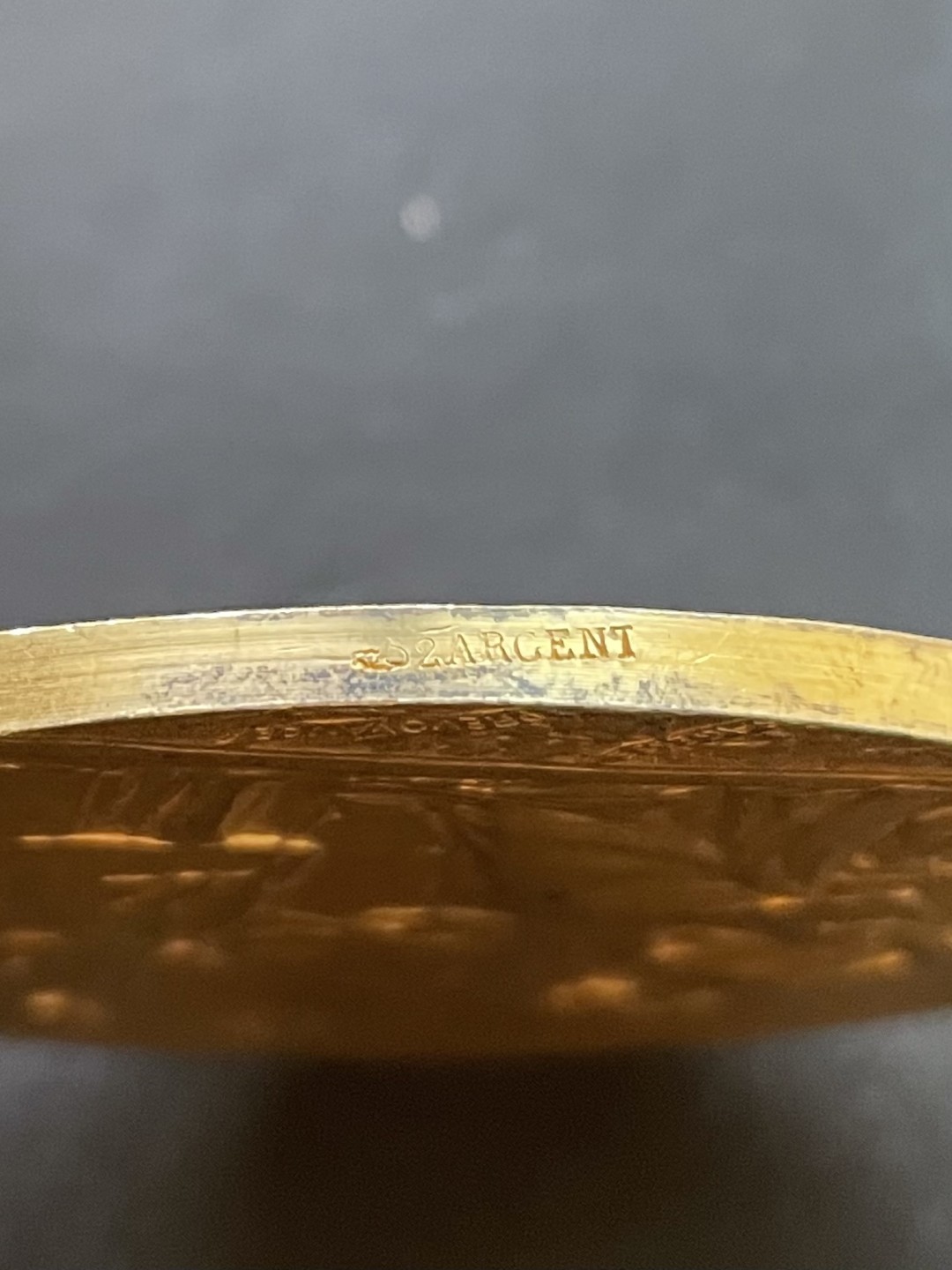 欧洲章牌-拍卖第24场 CH.Pillet～法国罗克鲁瓦储蓄银行镀金大银章 直径：63 mm ，119.6 g