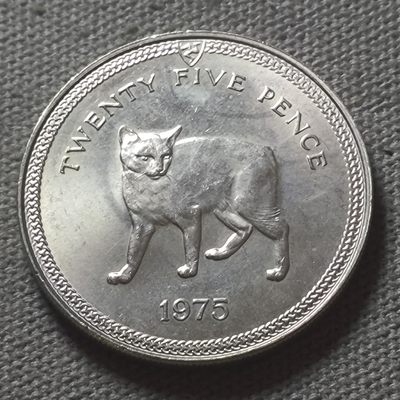 第五十九期 六月第一拍 - 6.1.4马恩岛无尾猫克朗币