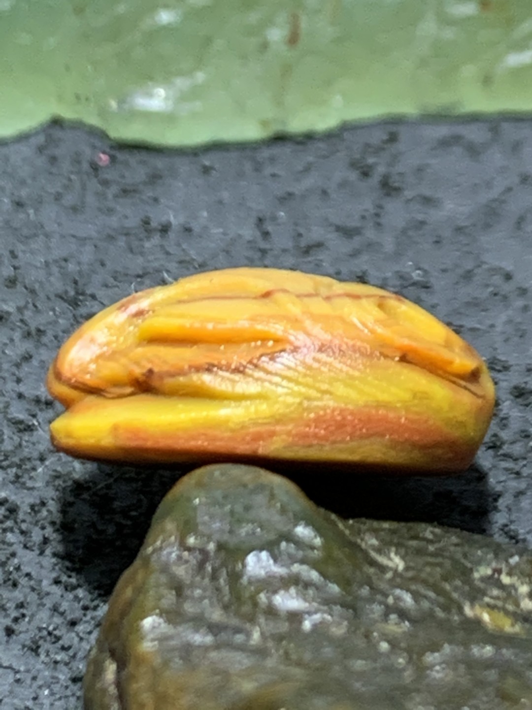 精美战国红玛瑙手工俏色巧雕灵狐戒面一个，