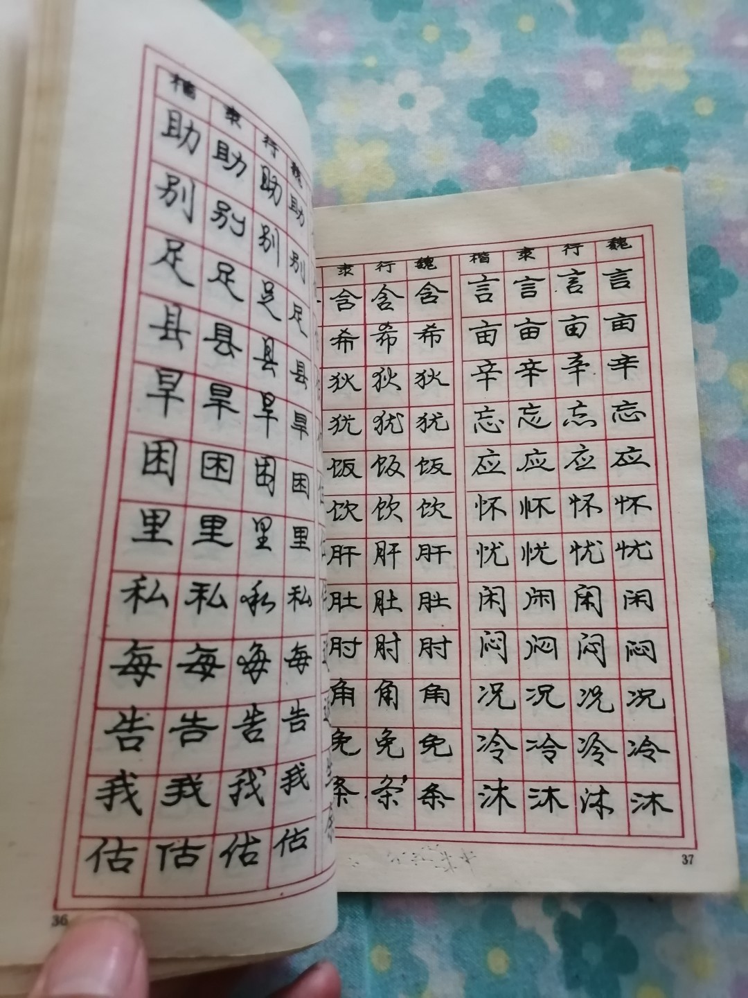 《庞中华钢笔字帖》