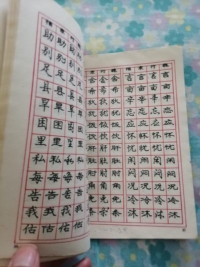 《庞中华钢笔字帖》 《庞中华钢笔字帖》
