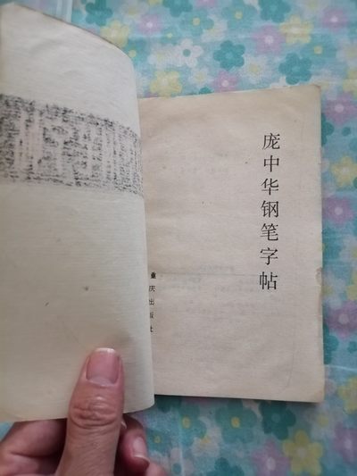 《庞中华钢笔字帖》 《庞中华钢笔字帖》