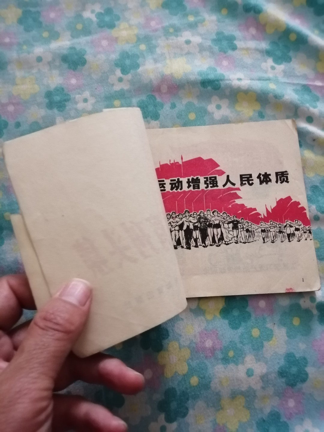《体肓刋头集》