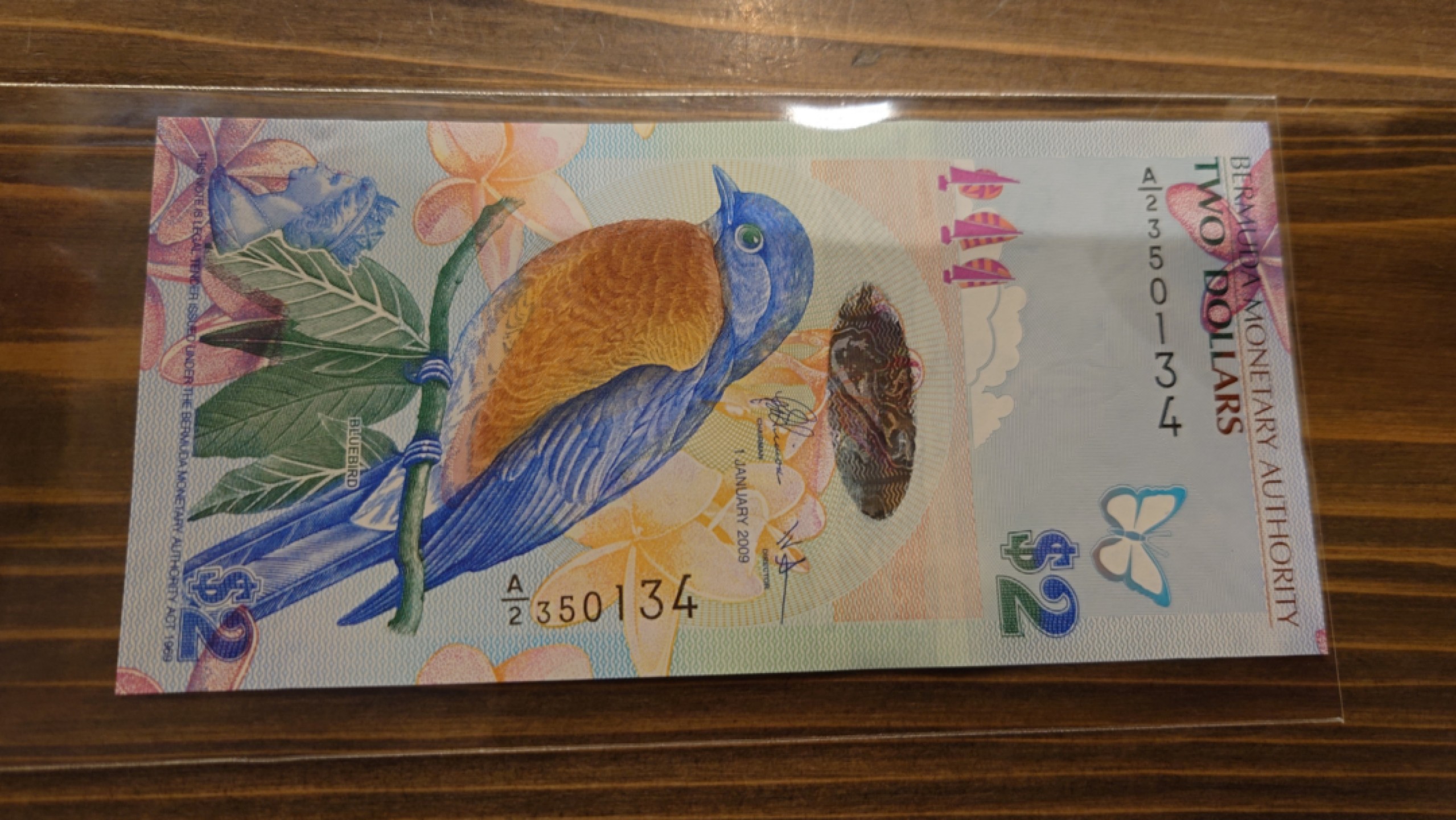 【世界钱币】精选微拍第63期暨2023年第十期 裸钞专场（有最新展会卖剩品种） 2009年百慕大2元 鸟钞全新绝品