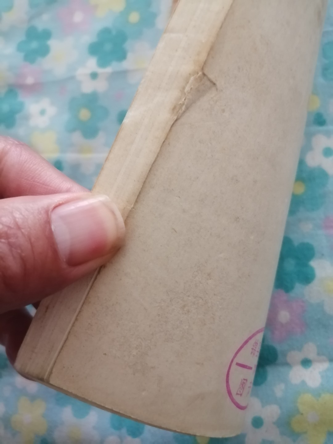 《大浪淘沙》电影文学剧本