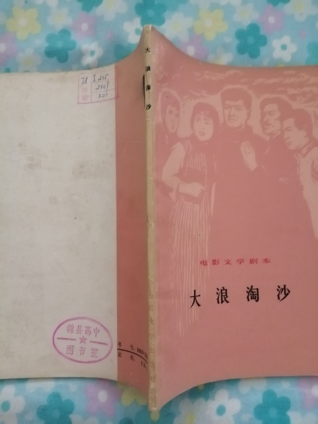 《大浪淘沙》电影文学剧本