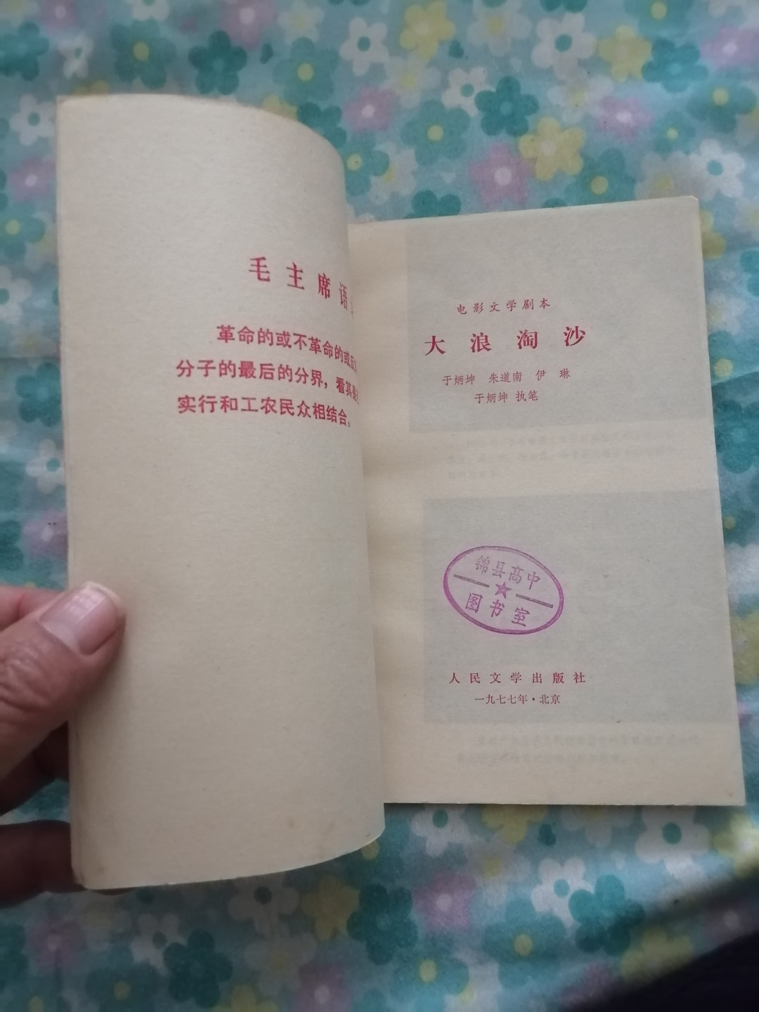 《大浪淘沙》电影文学剧本