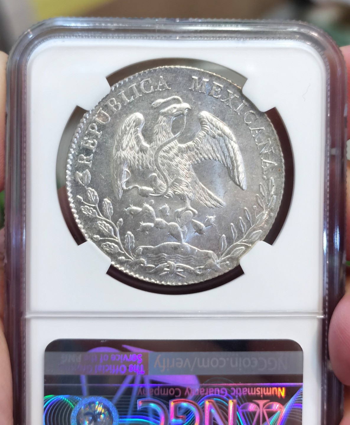 博洋堂章牌藏家系列场②暨第030期（全场包邮） NGC MS64 墨西哥1896年Mo AM版鹰洋 8里亚尔 深打 镜面转光 完全可收藏级