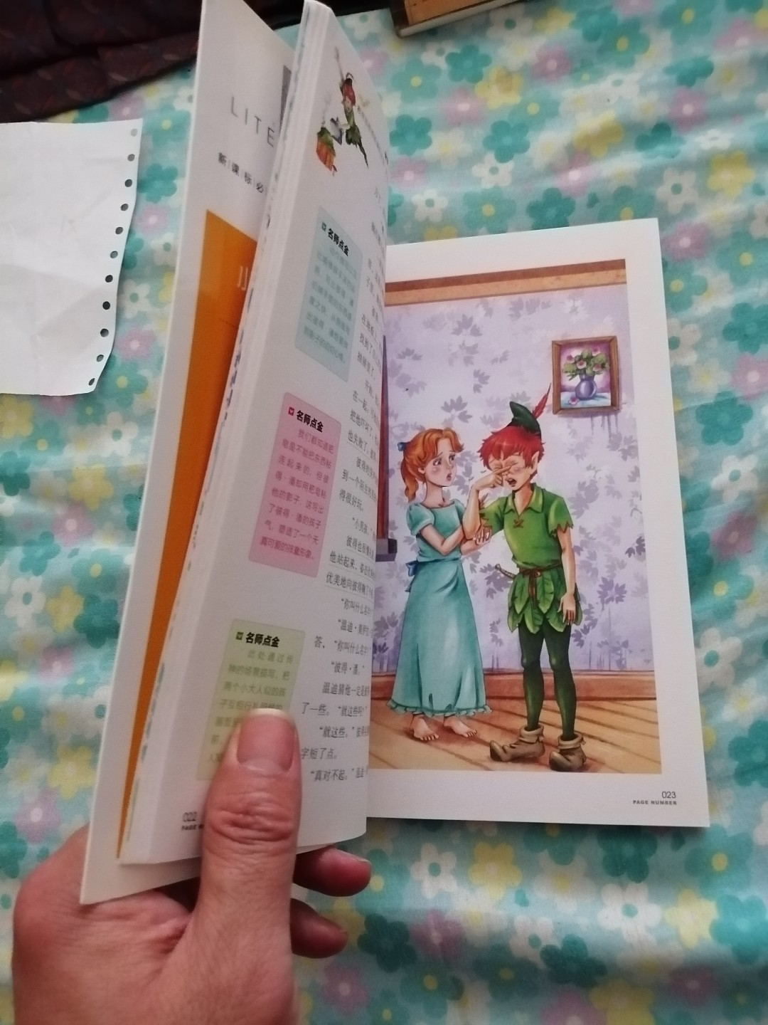 《小飞侠彼得·潘》