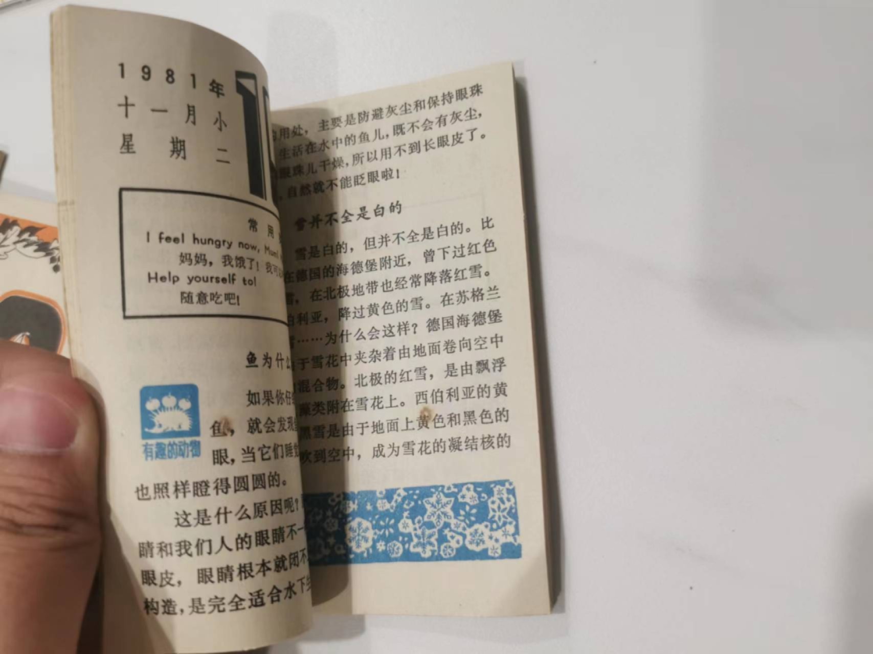 241.【麦稀奇世界钱币展★鲸贝乐淘★两拍包邮】三字经·第“融四岁，能让梨”号拍卖 【泰国邮票★银行日历卡★1981年少年儿童科普日历】杂项一起，全新全品，1981年日历难得好品相，80后的收藏品