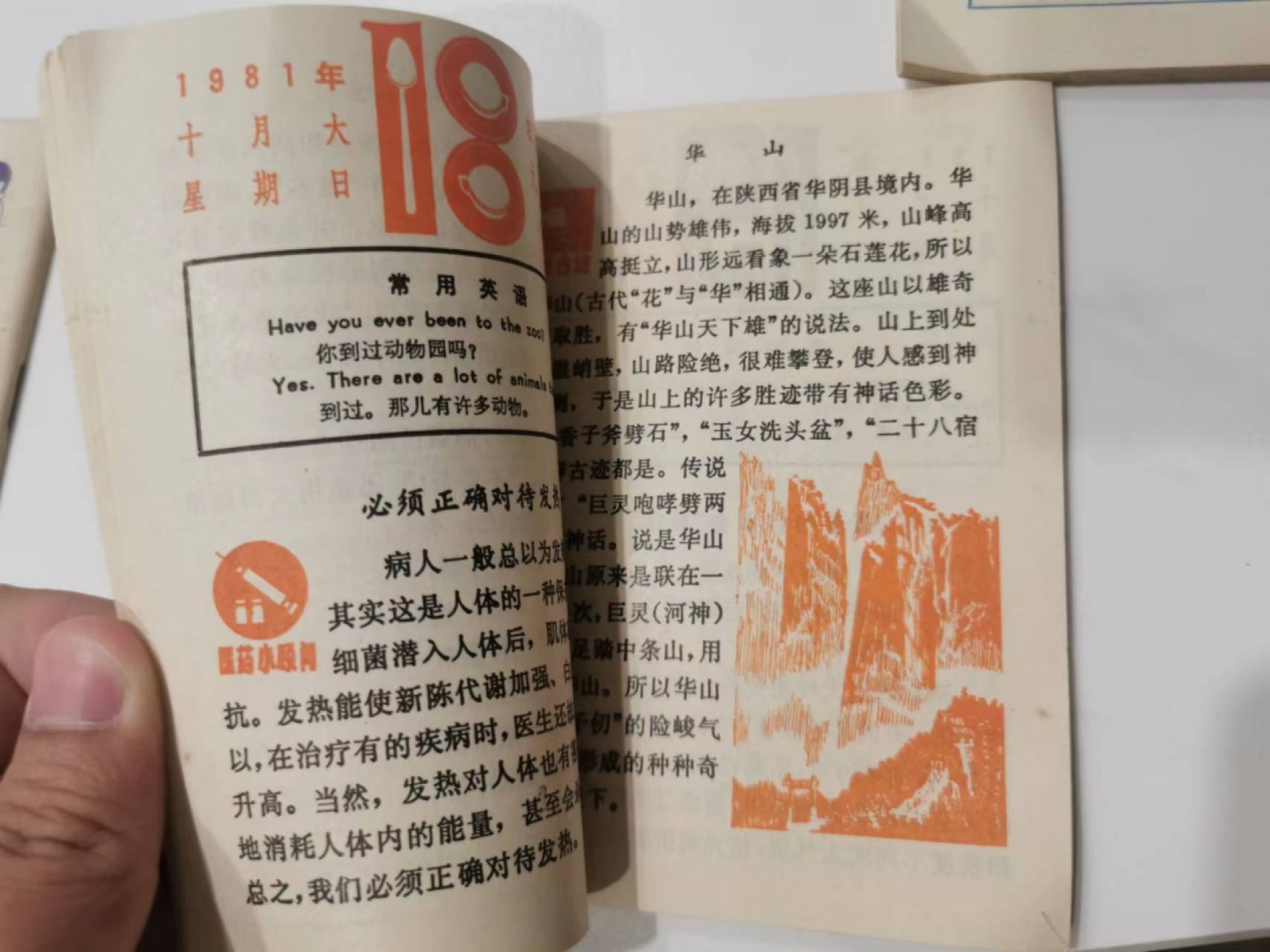 241.【麦稀奇世界钱币展★鲸贝乐淘★两拍包邮】三字经·第“融四岁，能让梨”号拍卖 【泰国邮票★银行日历卡★1981年少年儿童科普日历】杂项一起，全新全品，1981年日历难得好品相，80后的收藏品