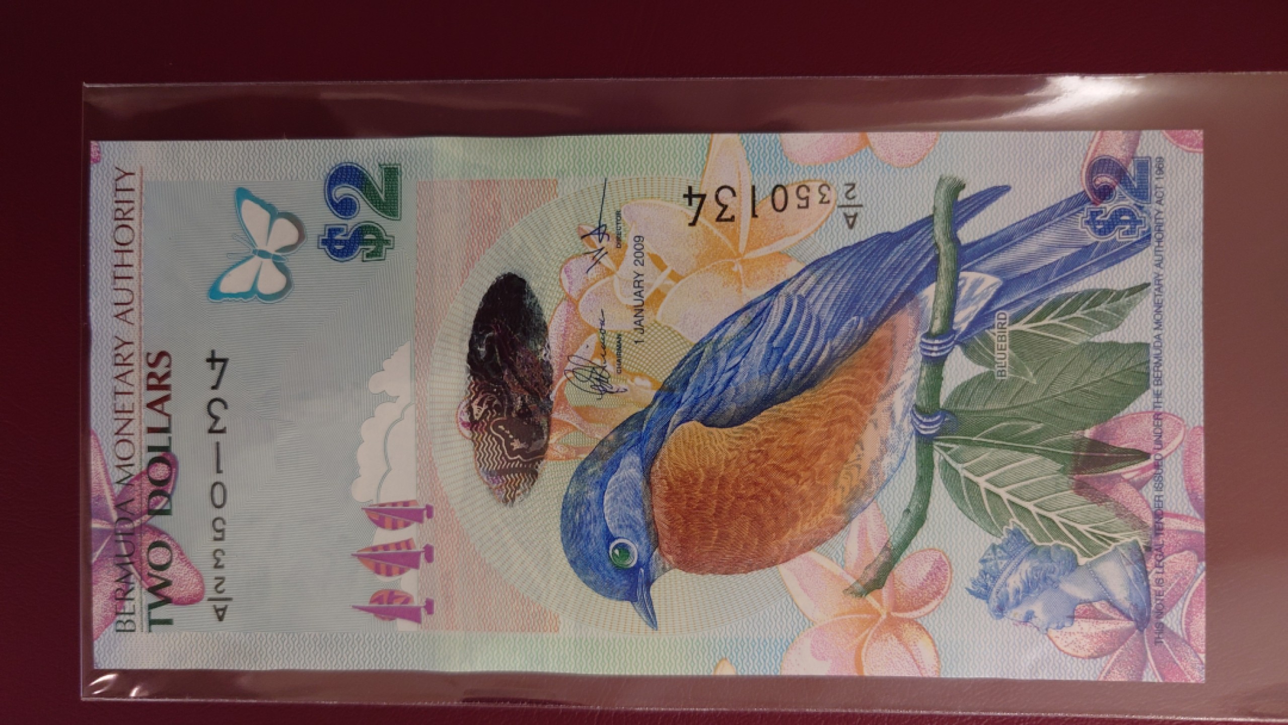 【世界钱币】精选微拍第63期暨2023年第十期 裸钞专场（有最新展会卖剩品种） 2009年百慕大2元鸟钞 尾4绝品超低价起拍